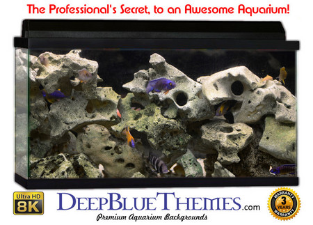 Buy Aquarium Background Classic Rock Aquarium Background