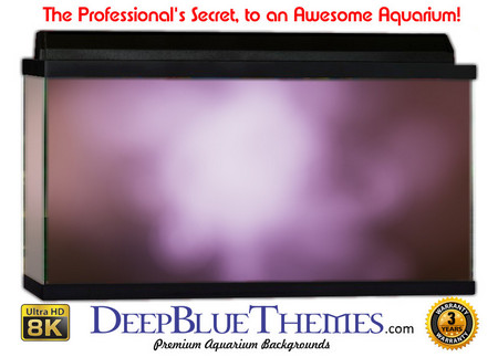 Buy Aquarium Background Colors Abstract Aquarium Background