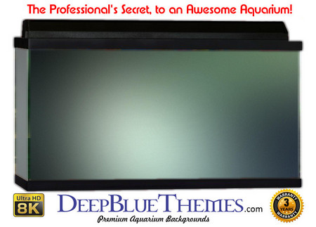 Buy Aquarium Background Colors Bgrey Aquarium Background