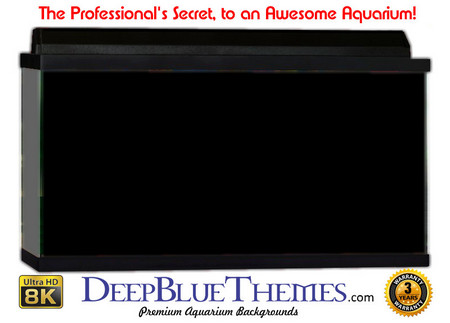 Buy Aquarium Background Colors Black Aquarium Background