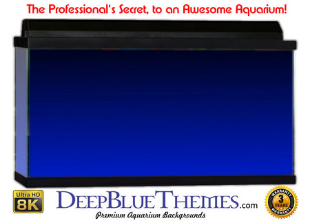 Buy Aquarium Background Colors Blue Ftbt Aquarium Background