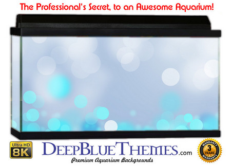 Buy Aquarium Background Colors Bluelights Aquarium Background