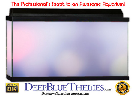 Buy Aquarium Background Colors Blurblue Aquarium Background