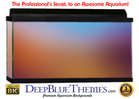 Buy Aquarium Background Colors Borange Aquarium Background