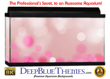Buy Aquarium Background Colors Bpink Aquarium Background