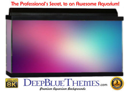 Buy Aquarium Background Colors Bpurple Aquarium Background