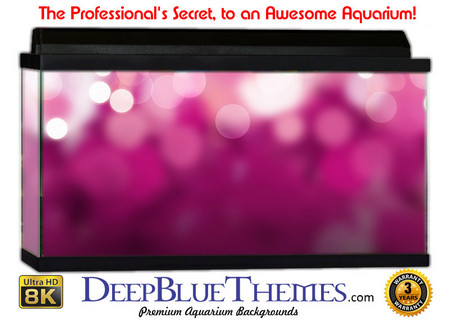 Buy Aquarium Background Colors Christmas Aquarium Background