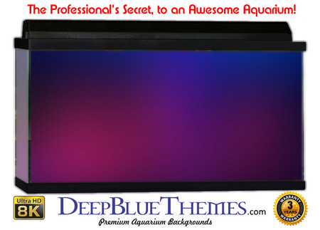 Buy Aquarium Background Colors Club Aquarium Background