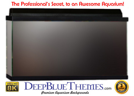 Buy Aquarium Background Colors Dark Aquarium Background