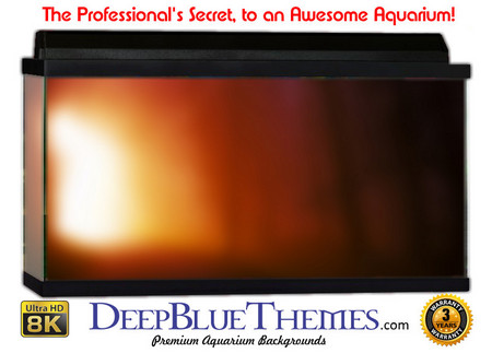 Buy Aquarium Background Colors Door Aquarium Background