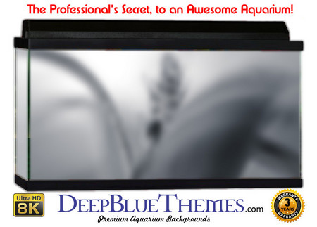 Buy Aquarium Background Colors Flower Aquarium Background