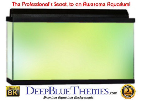 Buy Aquarium Background Colors Fresh Aquarium Background