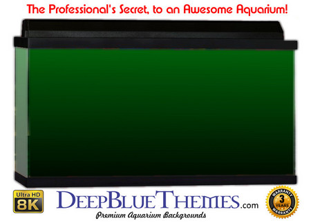 Buy Aquarium Background Colors Green Ftbb Aquarium Background
