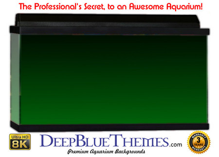 Buy Aquarium Background Colors Green Ftbt Aquarium Background