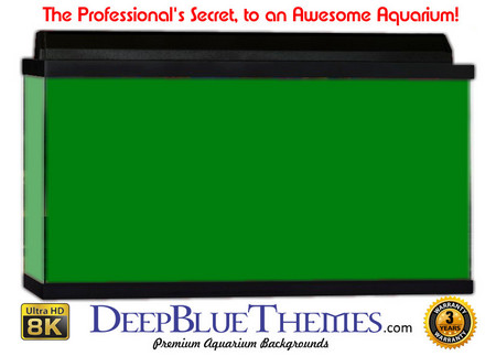 Buy Aquarium Background Colors Green Aquarium Background