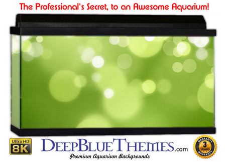 Buy Aquarium Background Colors Greenlights Aquarium Background