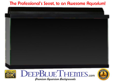Buy Aquarium Background Colors Grey Ftbt Aquarium Background