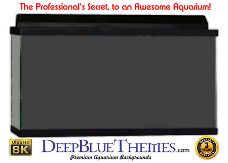 Buy Aquarium Background Colors Grey Aquarium Background