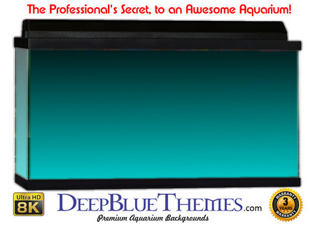 Buy Aquarium Background Colors Lightblue Ftbt Aquarium Background
