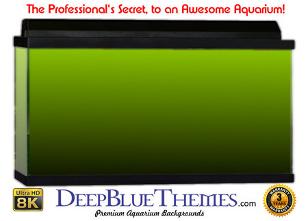 Buy Aquarium Background Colors Lightgreen Ftbb Aquarium Background
