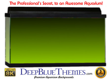 Buy Aquarium Background Colors Lightgreen Ftbt Aquarium Background