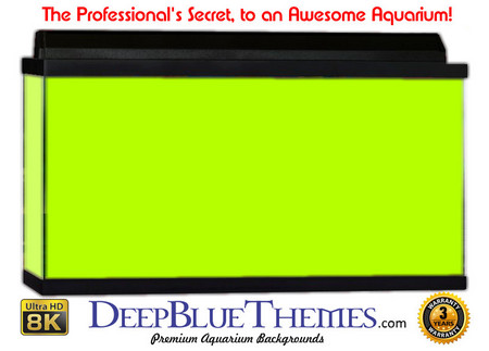 Buy Aquarium Background Colors Lightgreen Aquarium Background