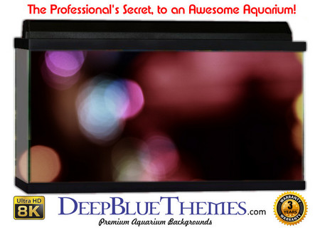 Buy Aquarium Background Colors Lights Aquarium Background