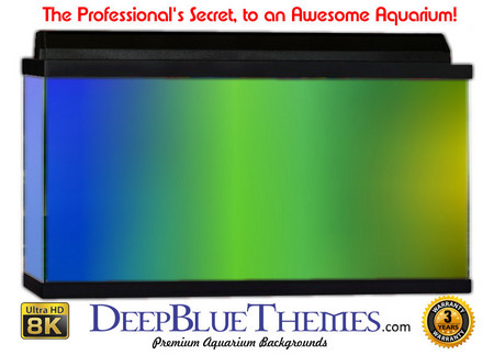 Buy Aquarium Background Colors Many Aquarium Background