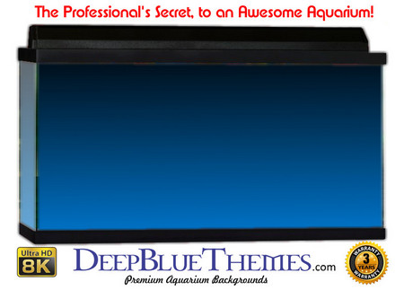 Buy Aquarium Background Colors Mediumblue Ftbt Aquarium Background