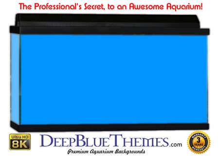 Buy Aquarium Background Colors Mediumblue Aquarium Background