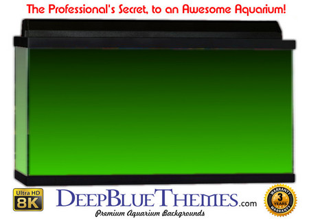Buy Aquarium Background Colors Mediumgreen Ftbt Aquarium Background