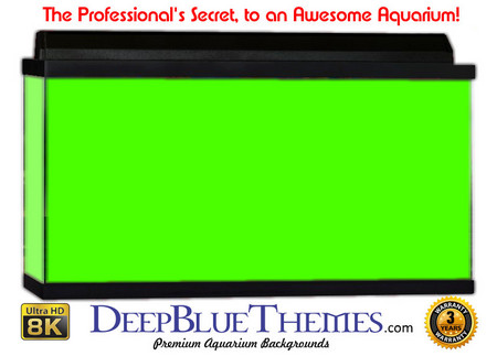 Buy Aquarium Background Colors Mediumgreen Aquarium Background