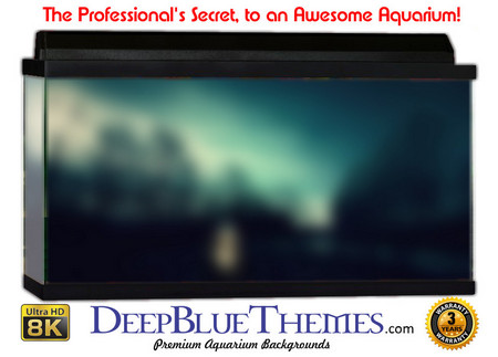 Buy Aquarium Background Colors Night Aquarium Background