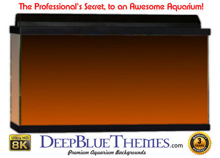 Buy Aquarium Background Colors Orange Ftbt Aquarium Background