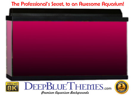 Buy Aquarium Background Colors Pink Ftbb Aquarium Background