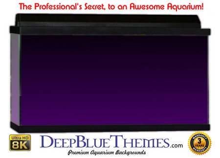 Buy Aquarium Background Colors Purple Ftbt Aquarium Background