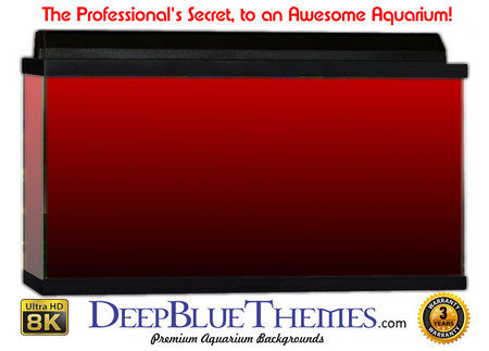 Buy Aquarium Background Colors Red Ftbb Aquarium Background