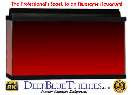Buy Aquarium Background Colors Red Ftbt Aquarium Background