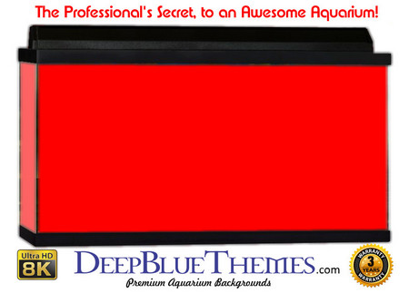 Buy Aquarium Background Colors Red Aquarium Background