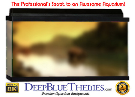 Buy Aquarium Background Colors River Aquarium Background