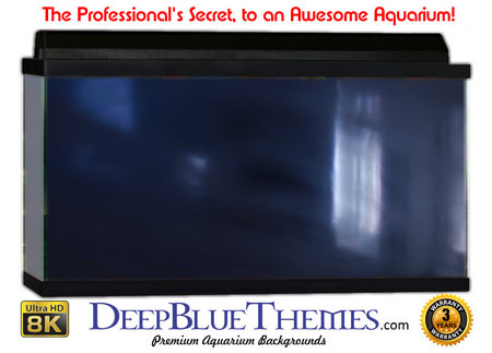Buy Aquarium Background Colors Room Aquarium Background