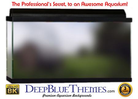 Buy Aquarium Background Colors Scene Aquarium Background
