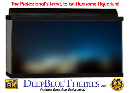 Buy Aquarium Background Colors Tops Aquarium Background