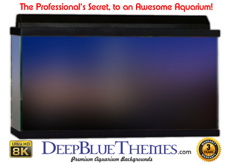 Buy Aquarium Background Colors Town Aquarium Background
