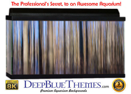 Buy Aquarium Background Colors Trees Aquarium Background