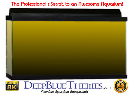 Buy Aquarium Background Colors Yellow Ftbb Aquarium Background