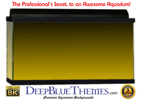 Buy Aquarium Background Colors Yellow Ftbt Aquarium Background