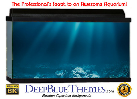 Buy Aquarium Background Coral Dark Aquarium Background