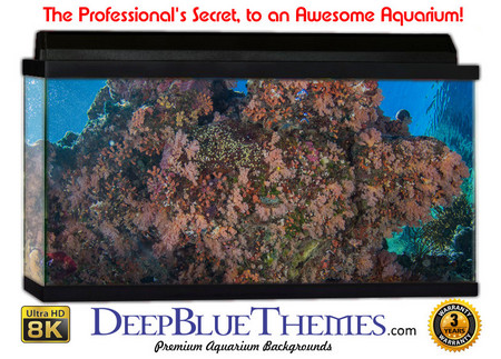 Buy Aquarium Background Coral Rock Aquarium Background