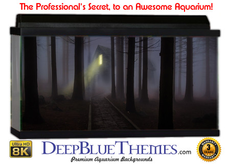 Buy Aquarium Background Creepy 0001 Aquarium Background
